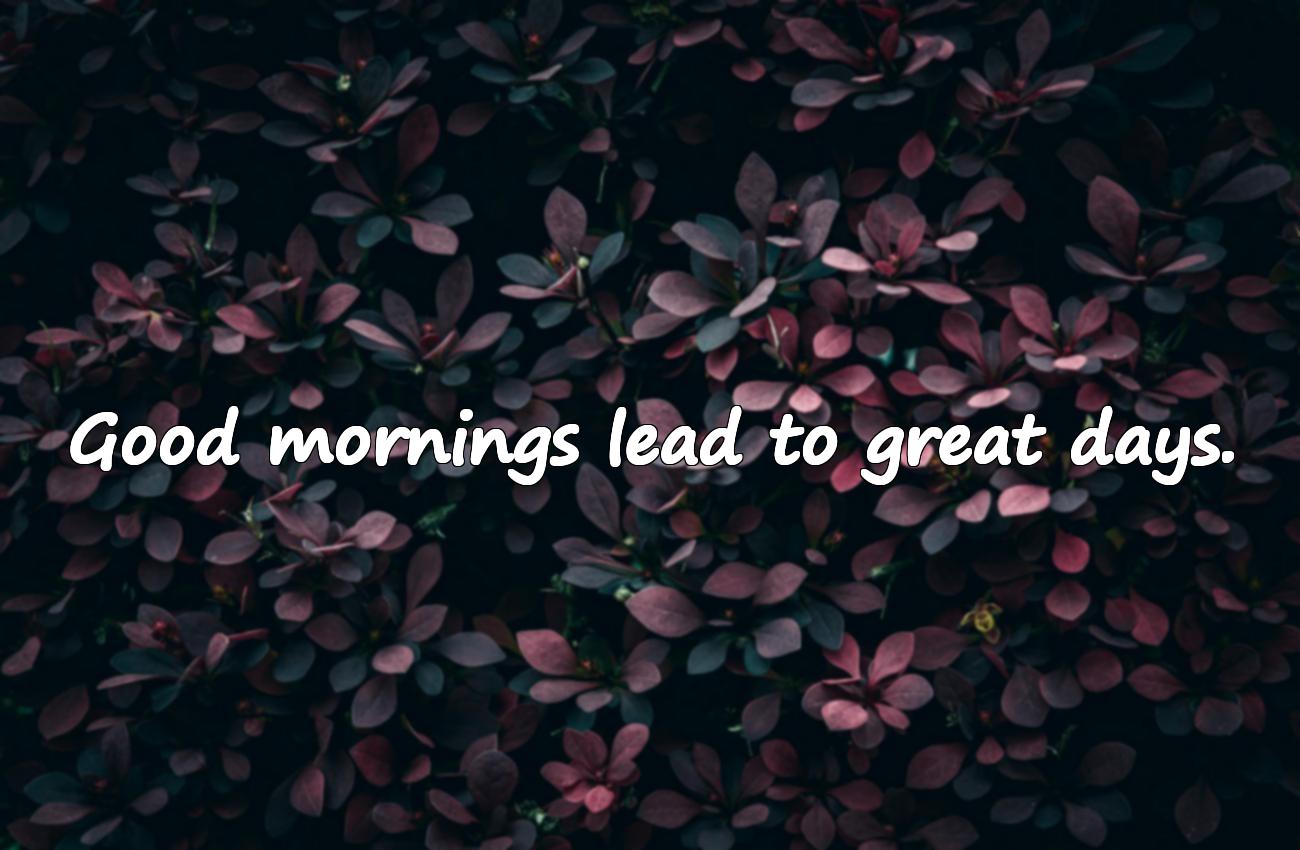 quotes about morning