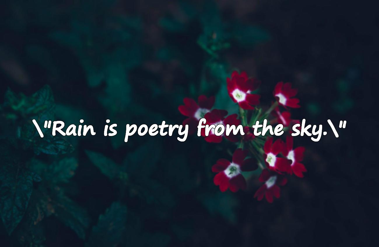 rain quotes