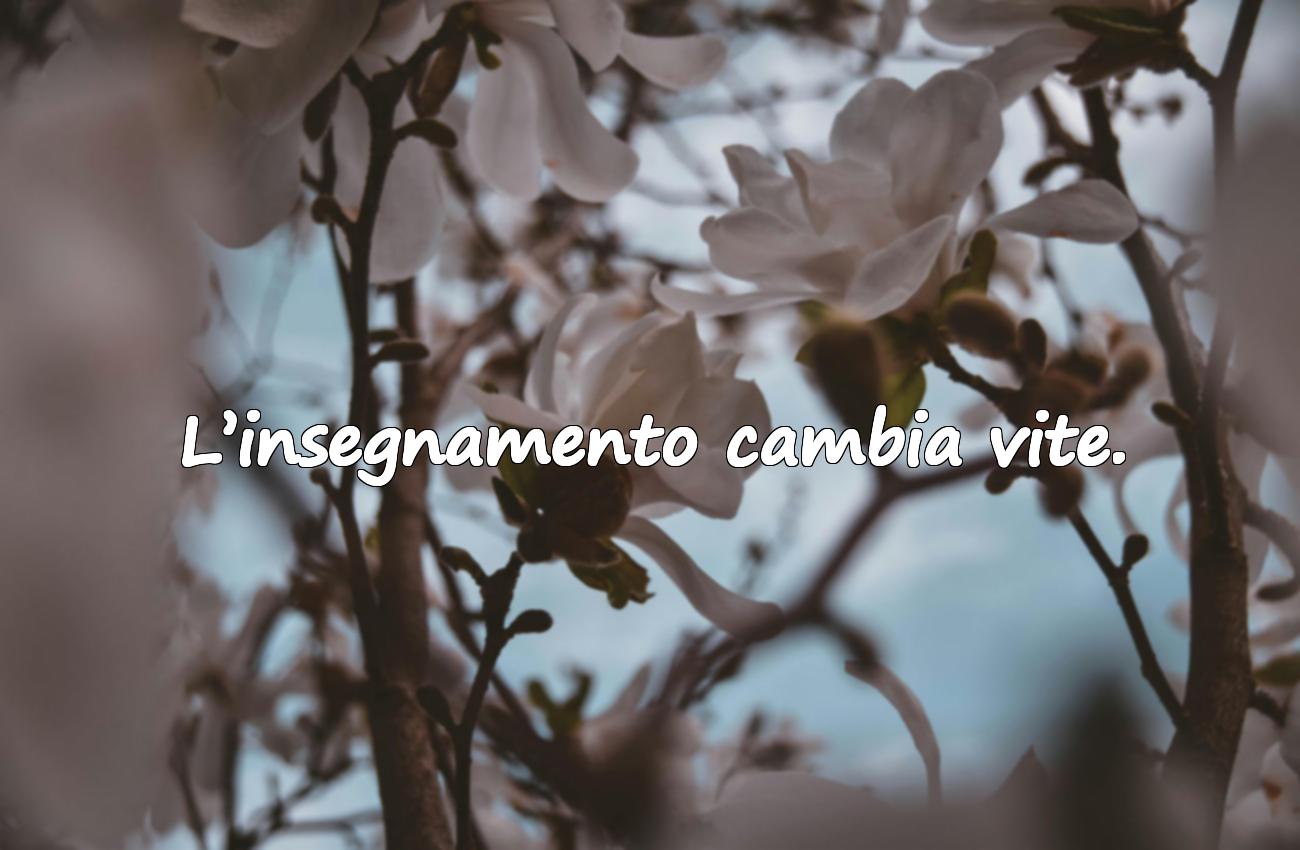 rasi sull’insegnamento