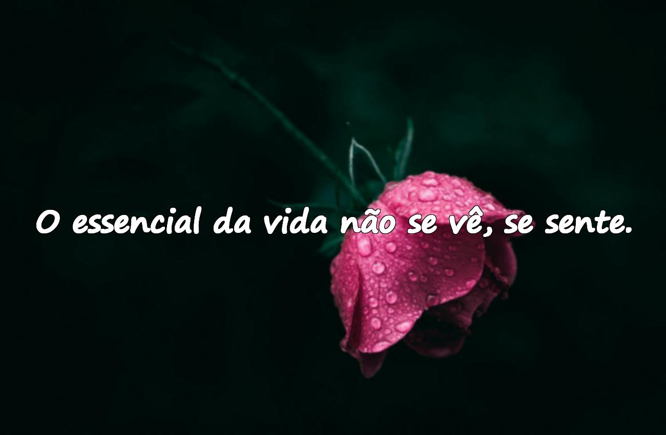 reflexão sobre a vida