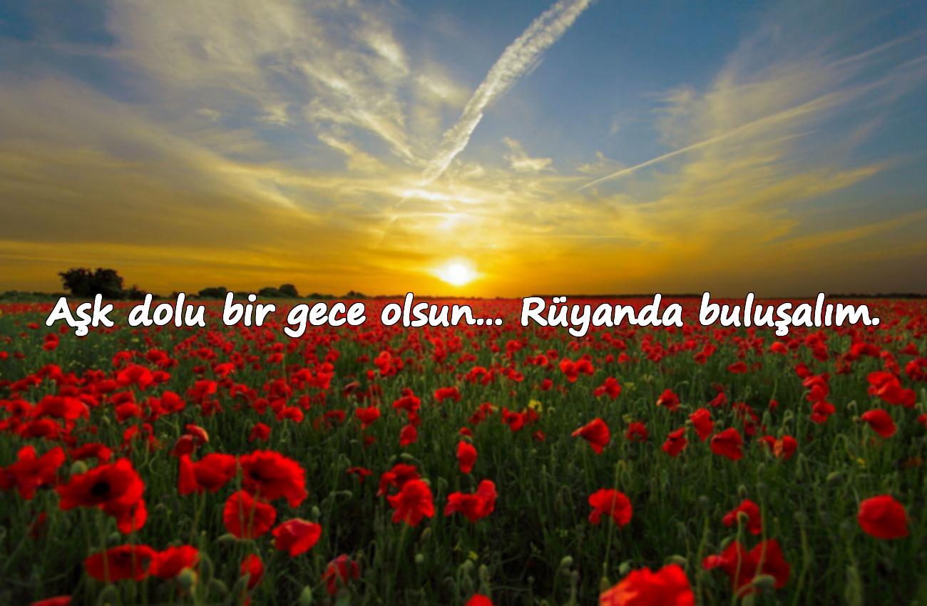 romantik iyi geceler mesajı