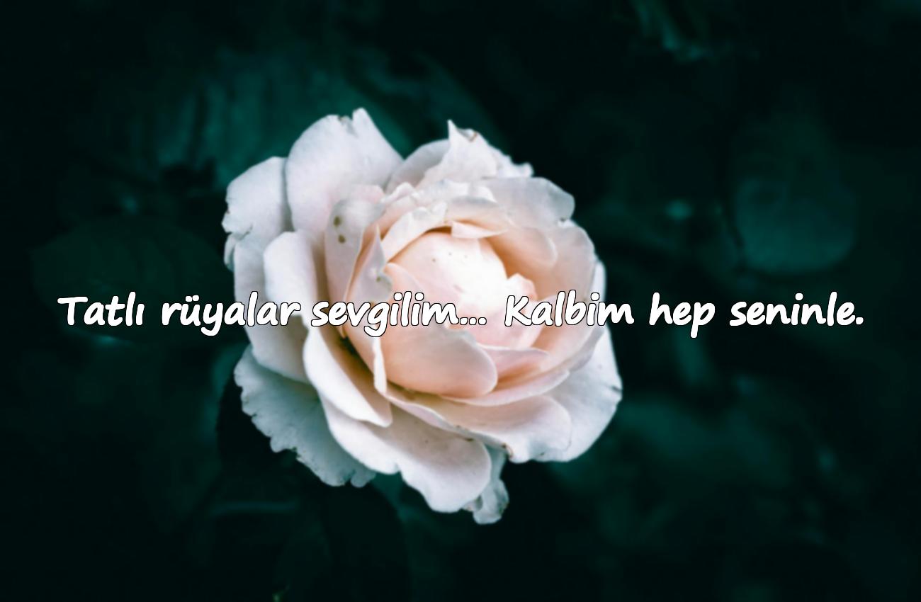 romantik iyi geceler mesajı