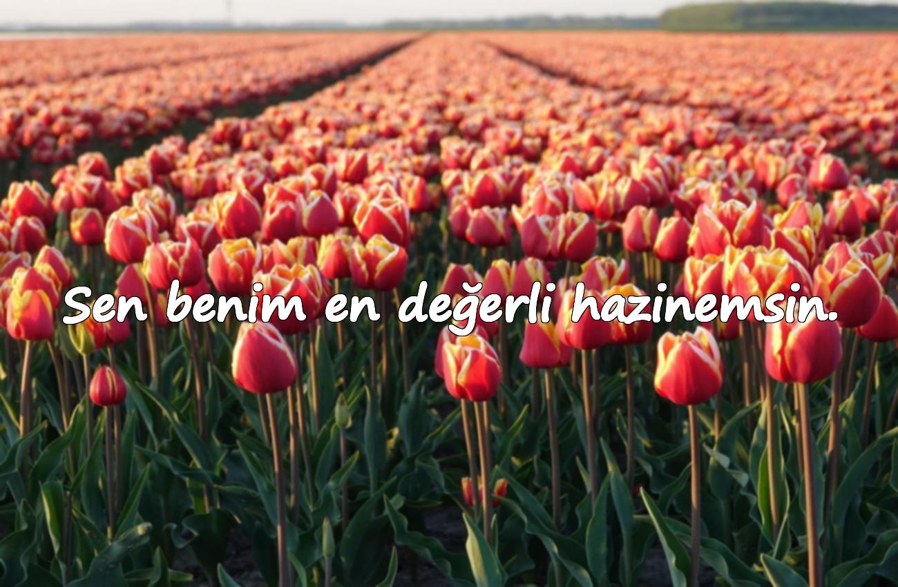 romantik sevgi sözleri