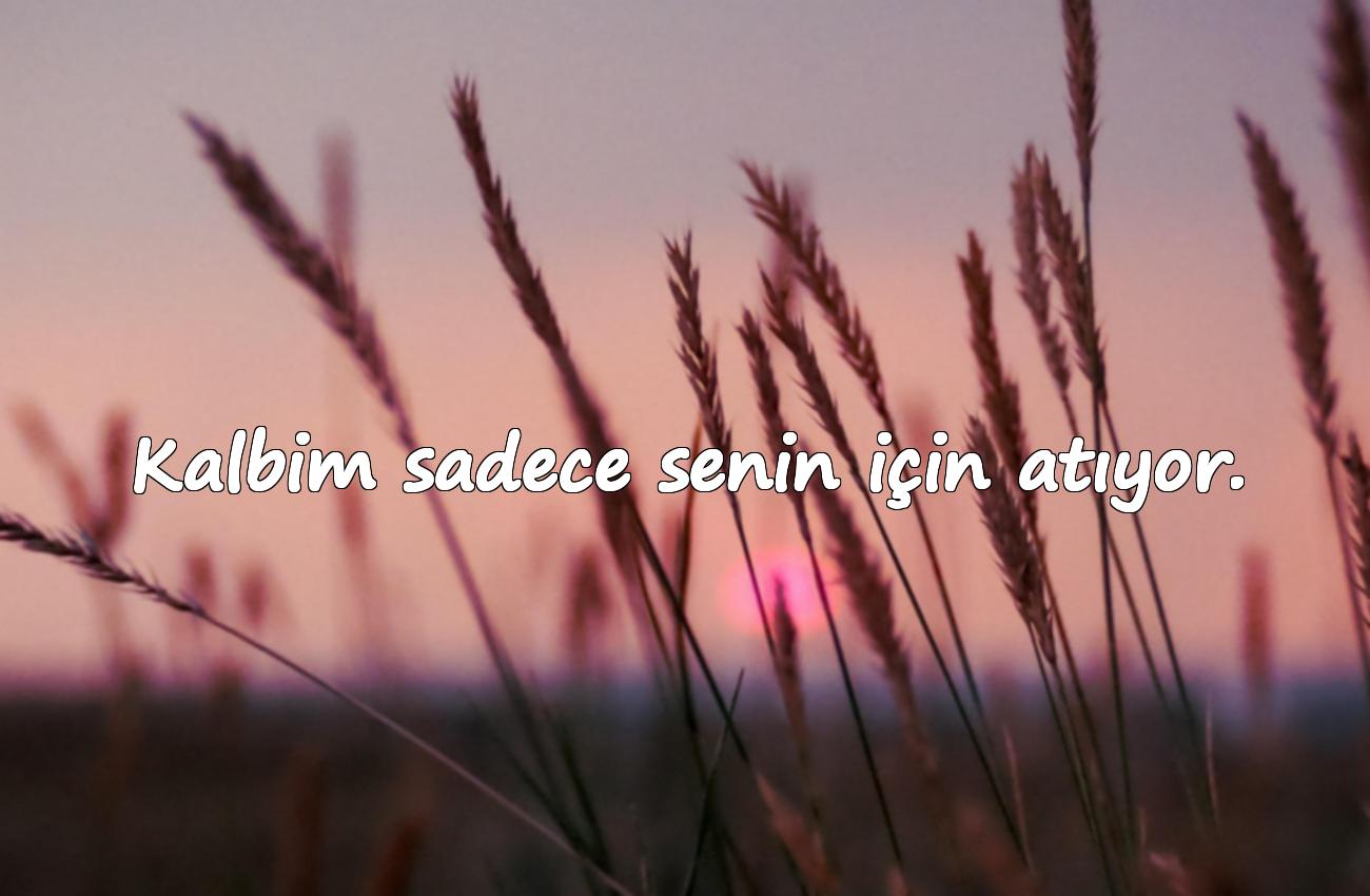 romantik sevgi sözleri