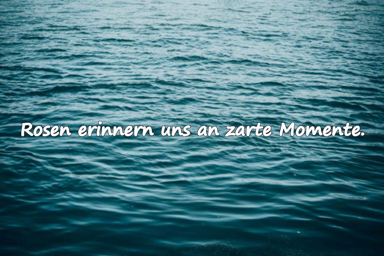 rosen sprüche