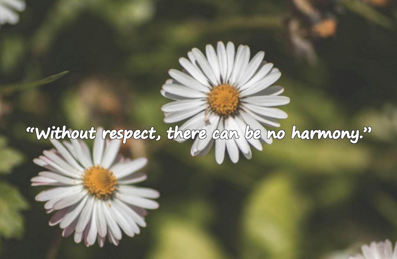 respect quotes