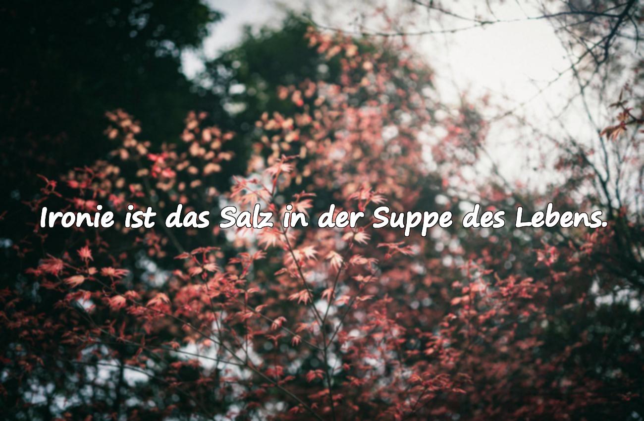 Sarkastische und tiefgründige Sprüche