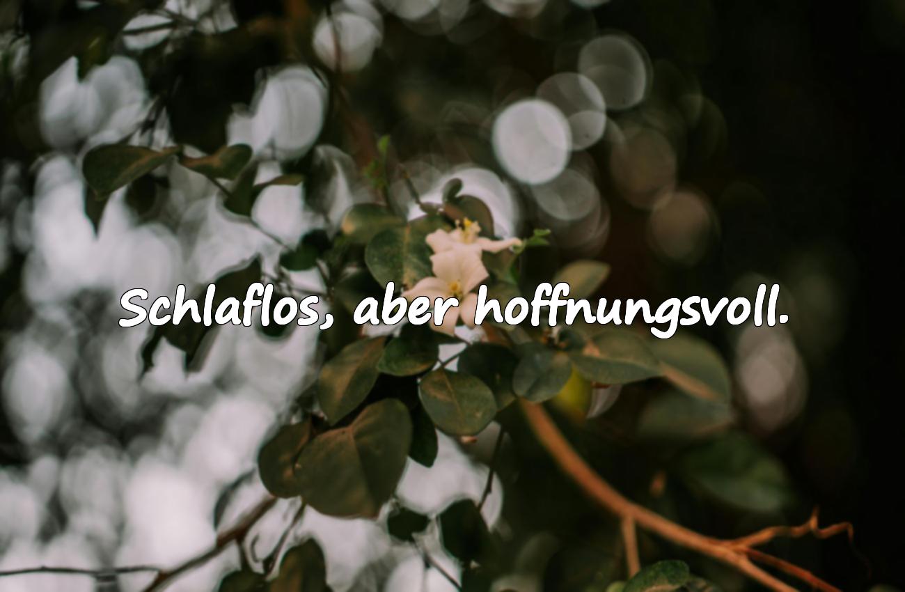schlaflos sprüche