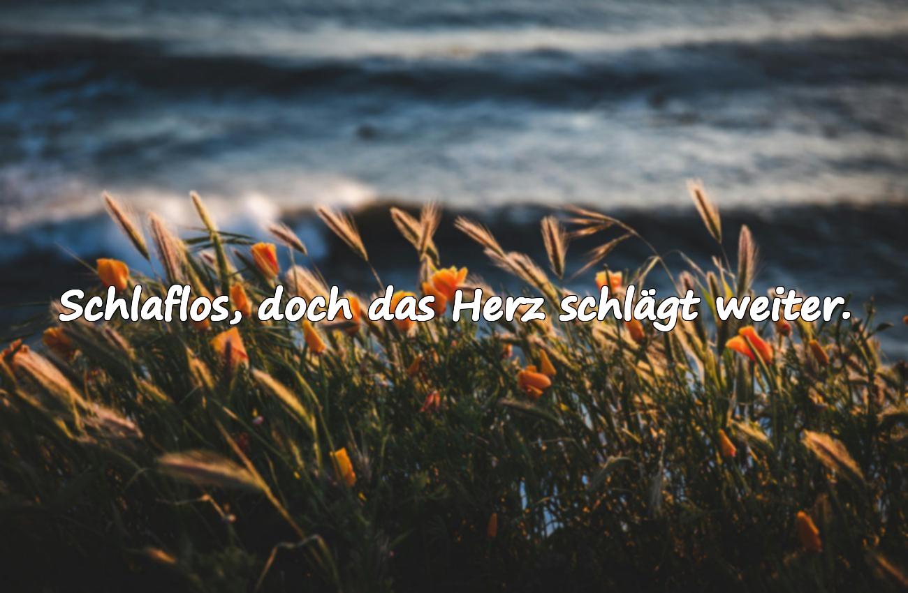 schlaflos sprüche