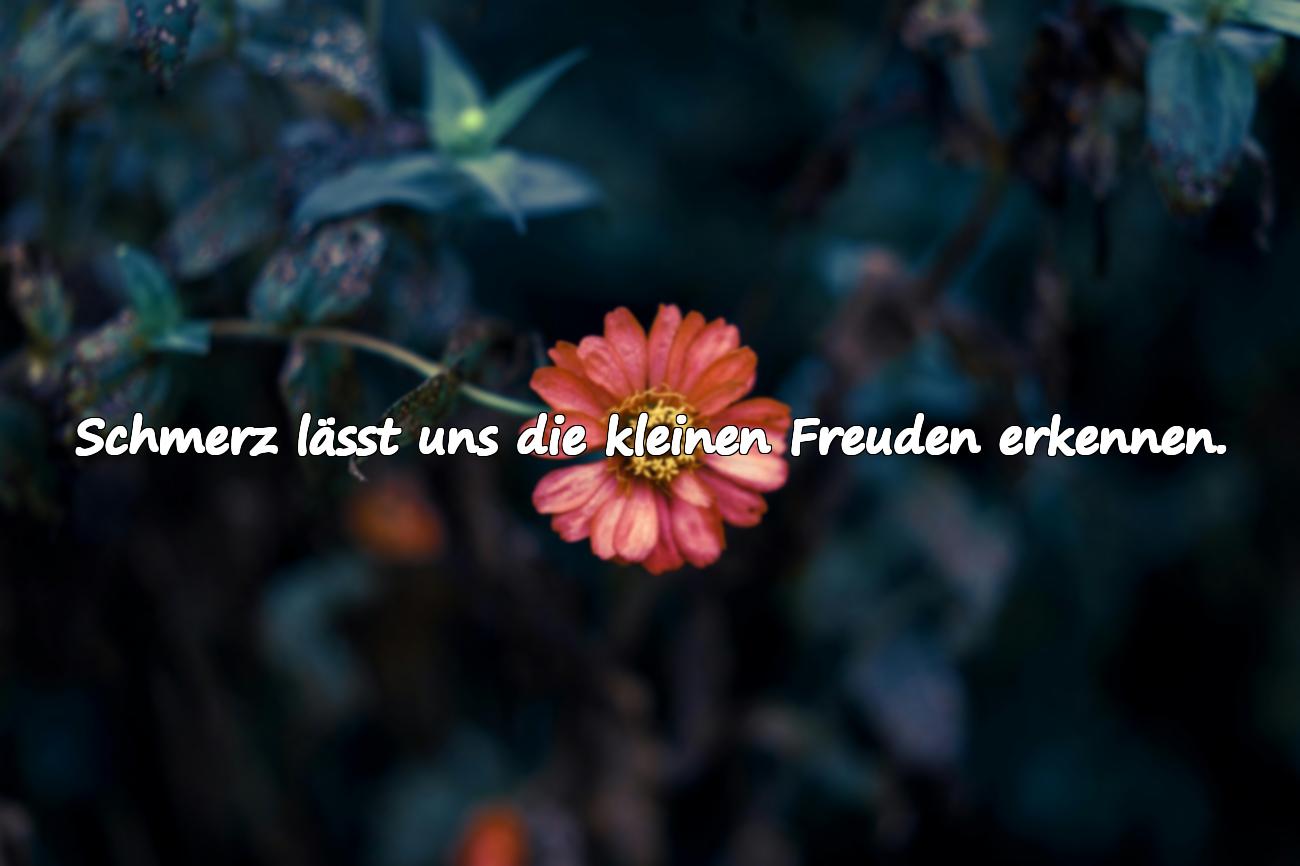 schmerz sprüche