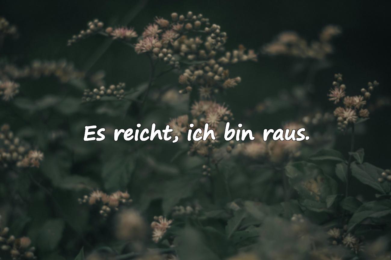 schnauze voll sprüche