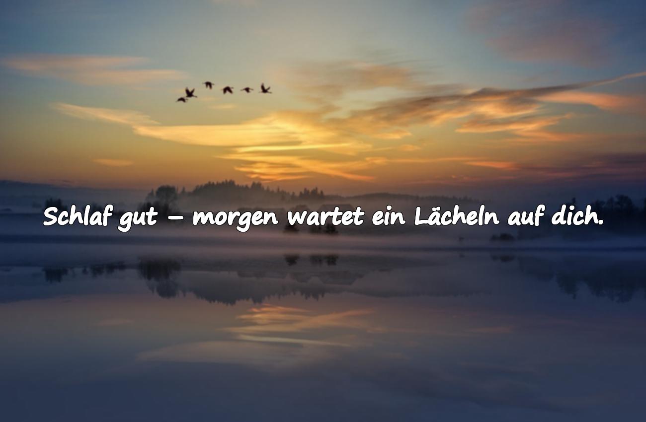 schöne gute nacht sprüche