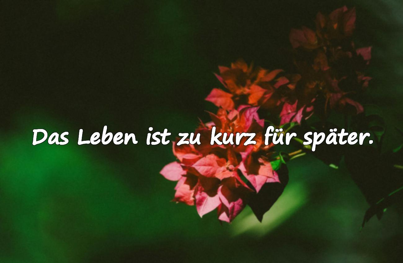 schöne lebenssprüche