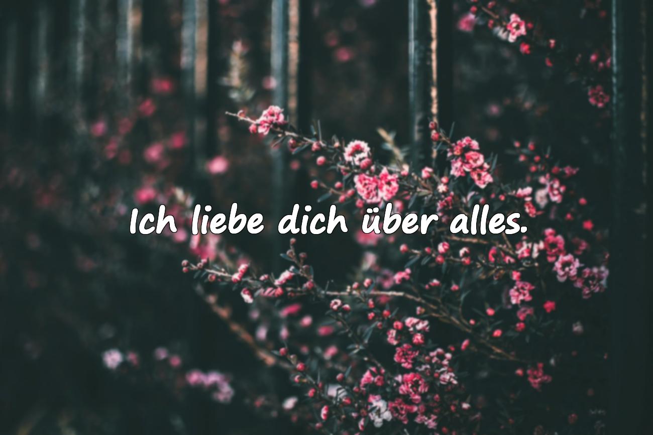 Schöne Liebessprüche