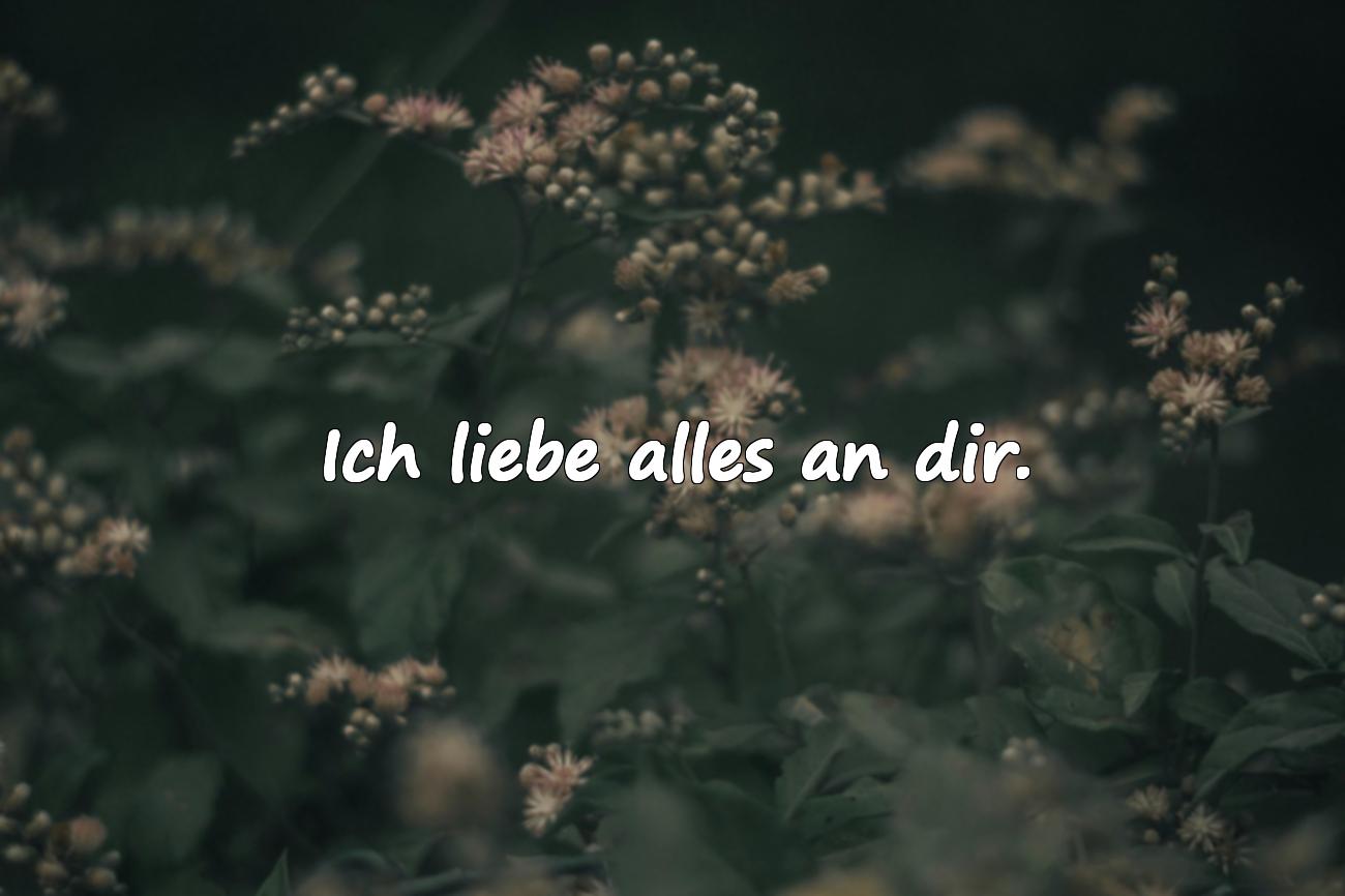 Schöne Liebessprüche