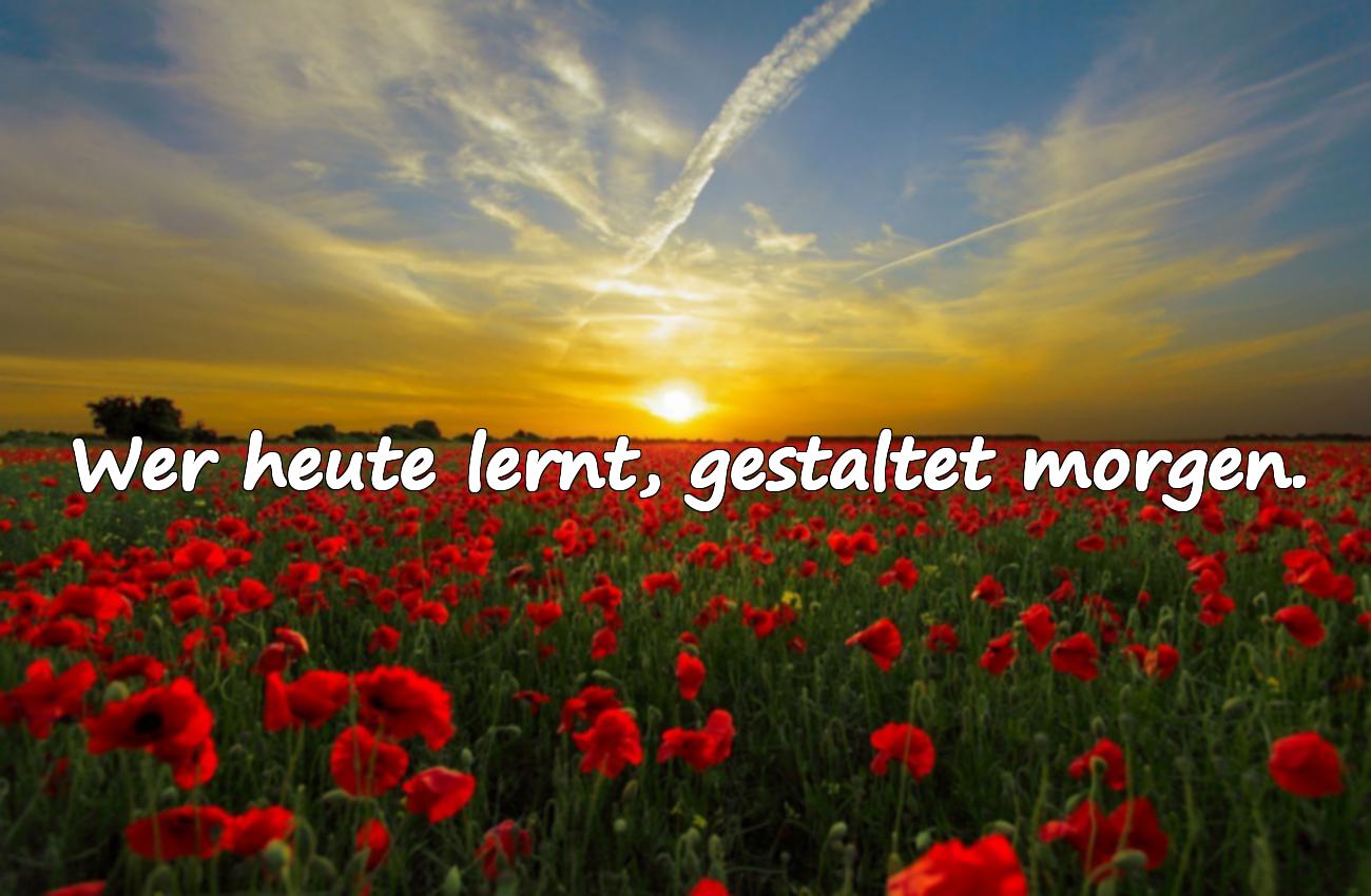 Schöne Sprüche über die Zukunft