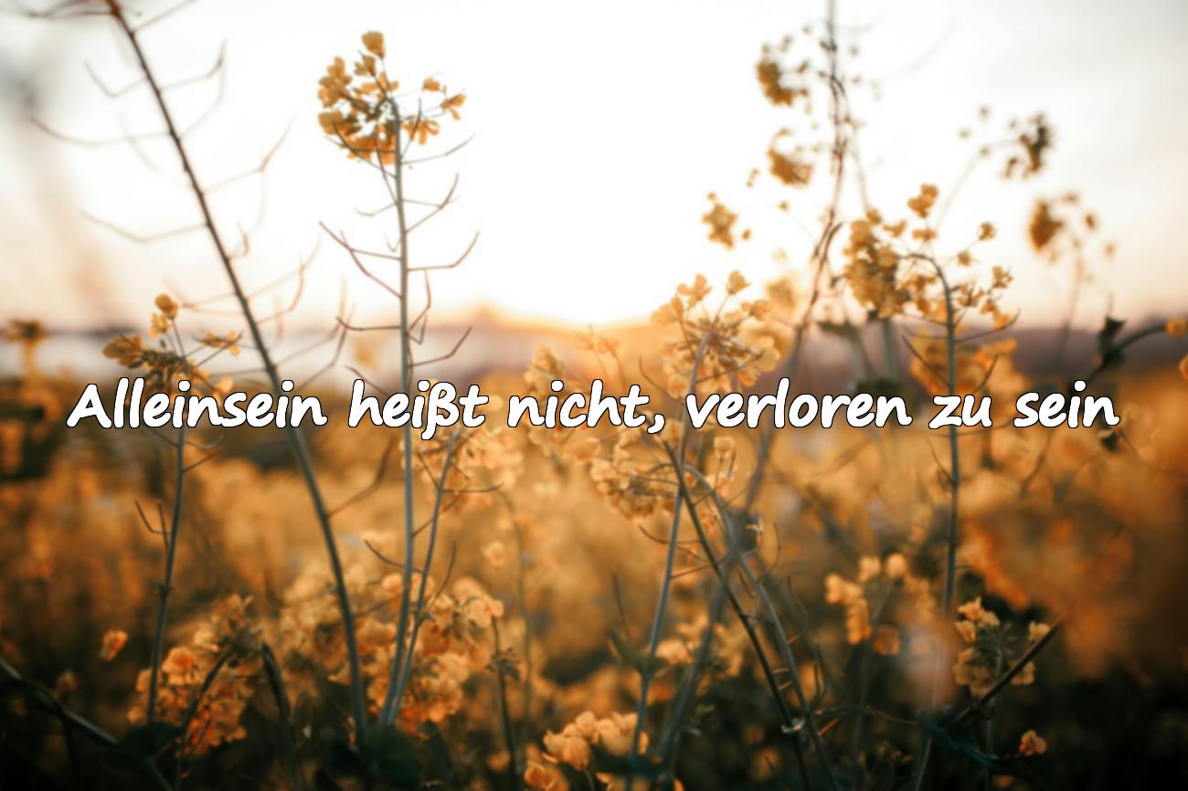 Schöne Sprüche über Einsamkeit