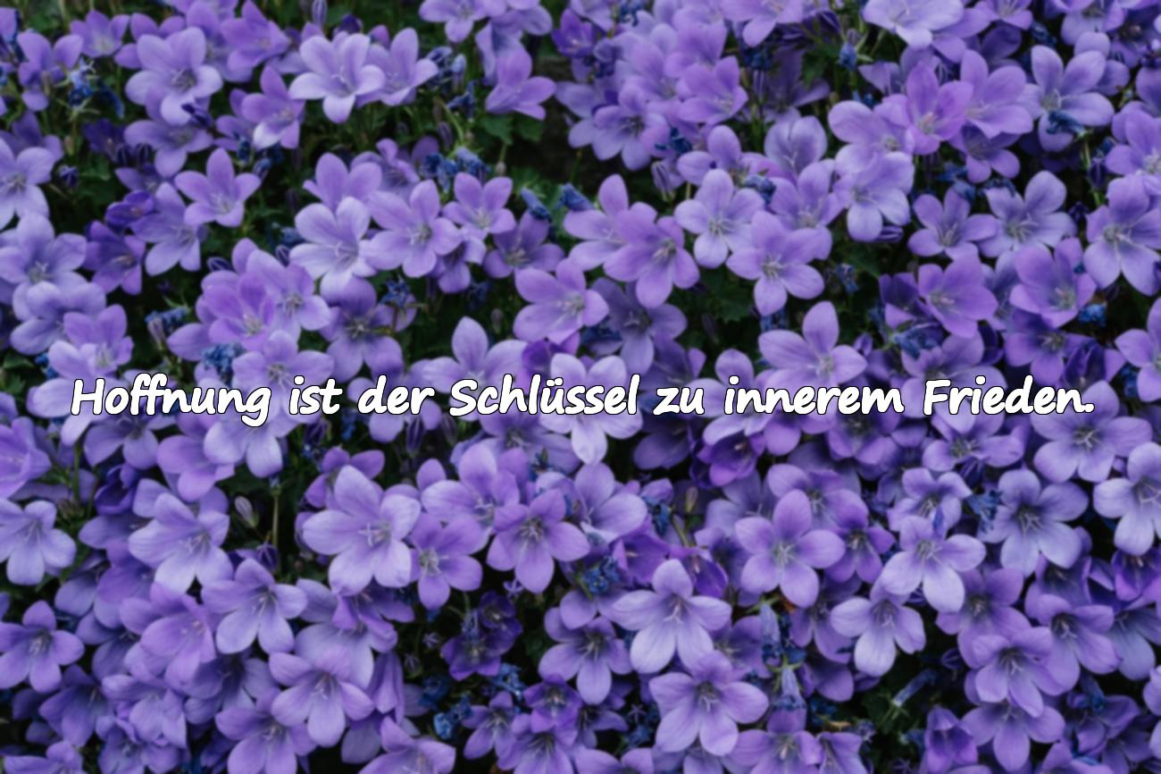 Schöne Sprüche über Hoffnung