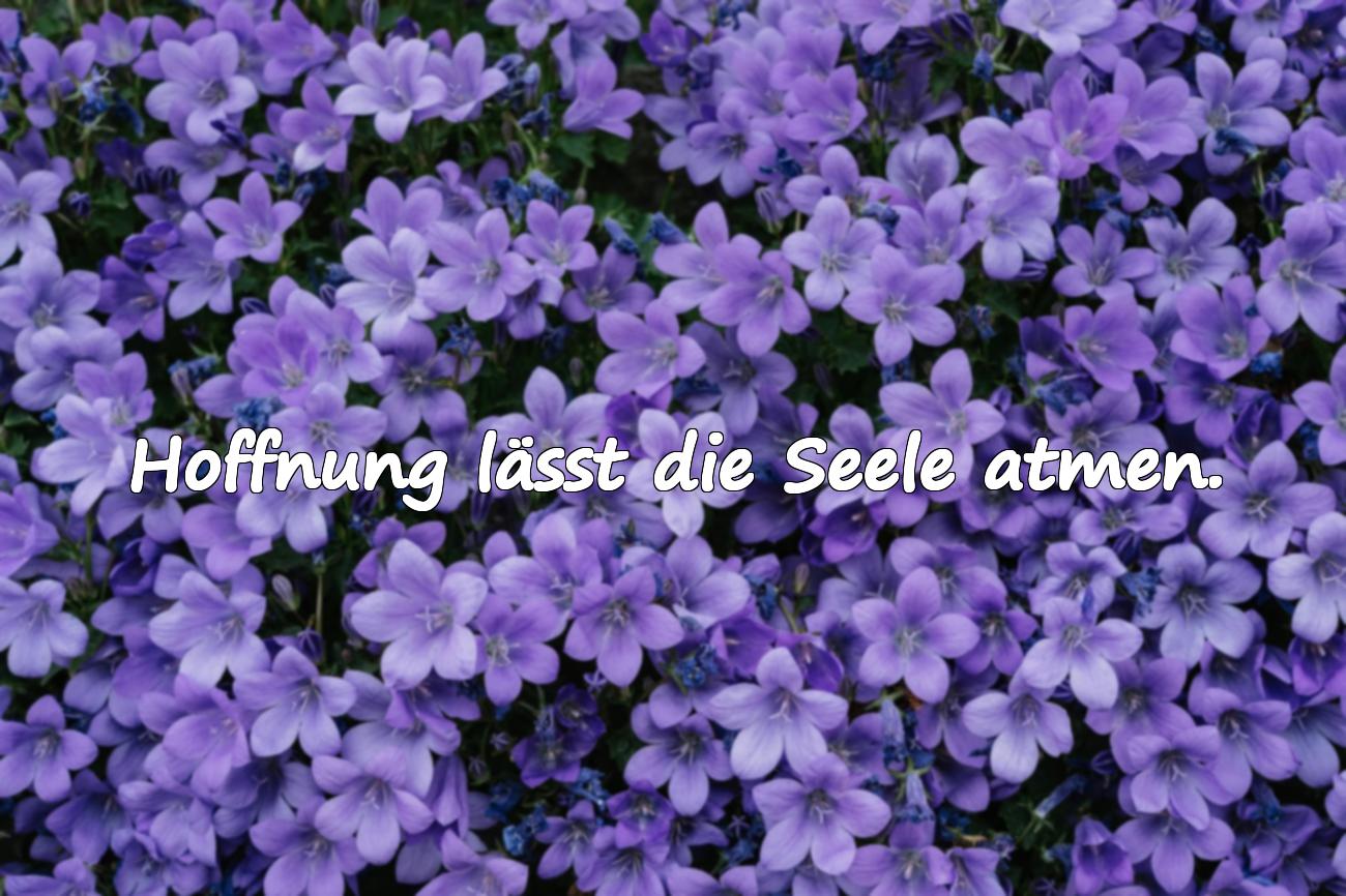 Schöne Sprüche über Hoffnung