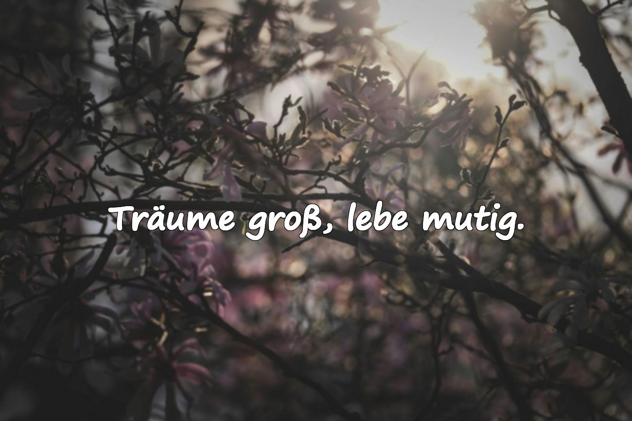 schöne status sprüche