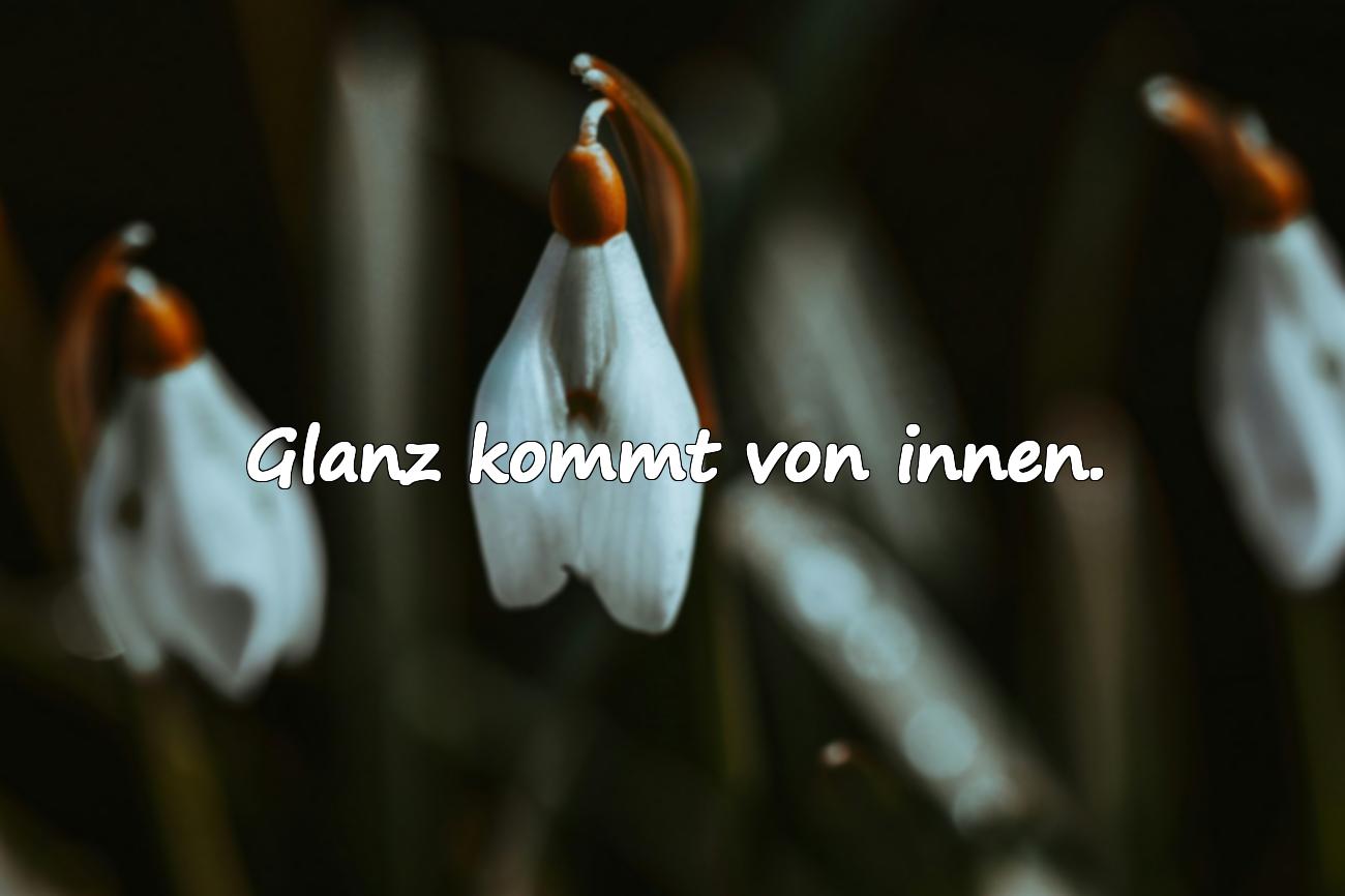 schöne status sprüche