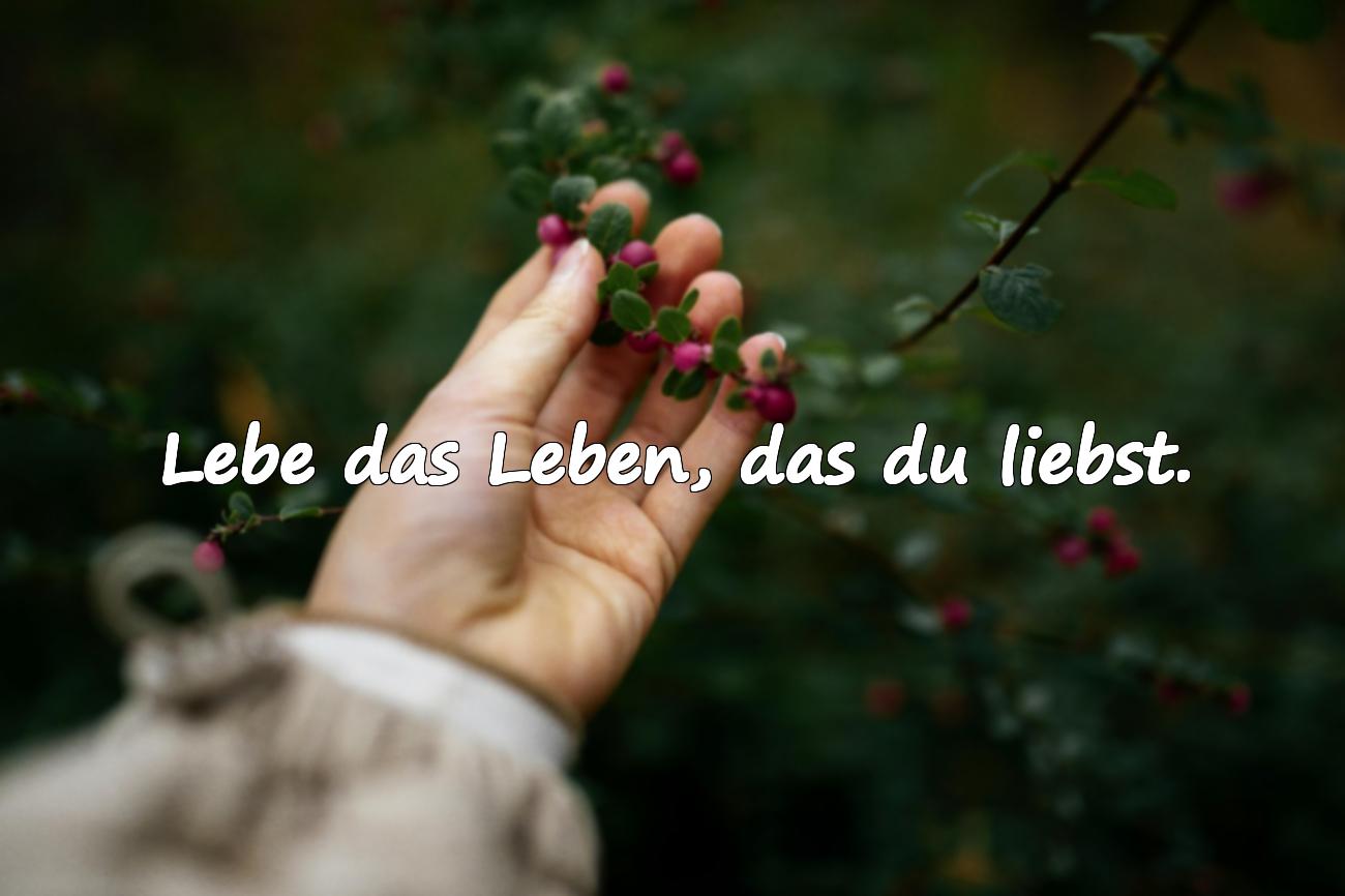 schöne status sprüche