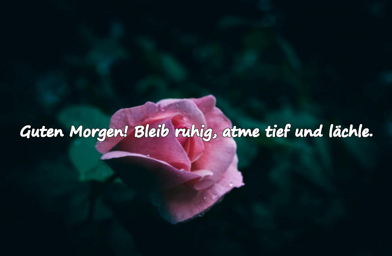 schönen tag guten morgen grüße für whatsapp