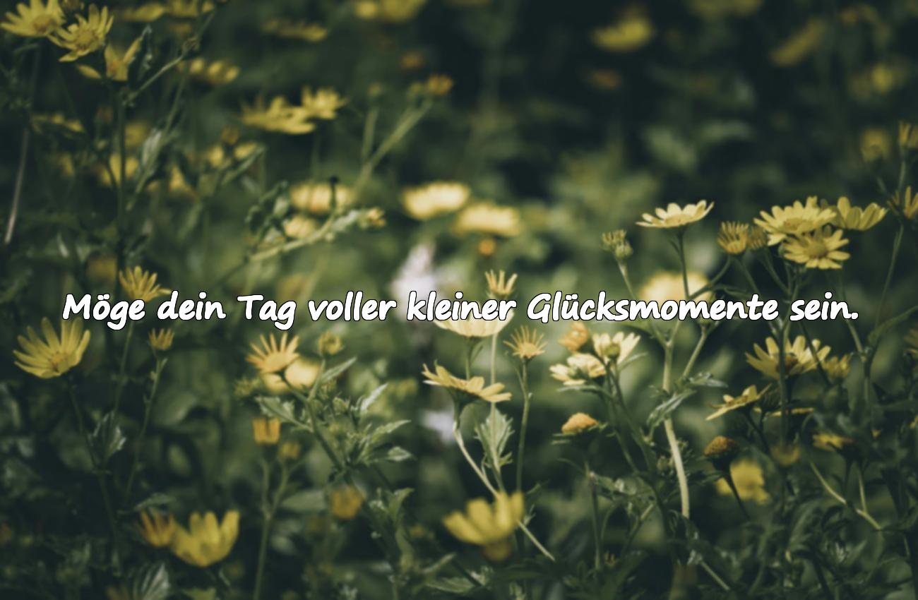 Schönen Tag wünsche ich dir