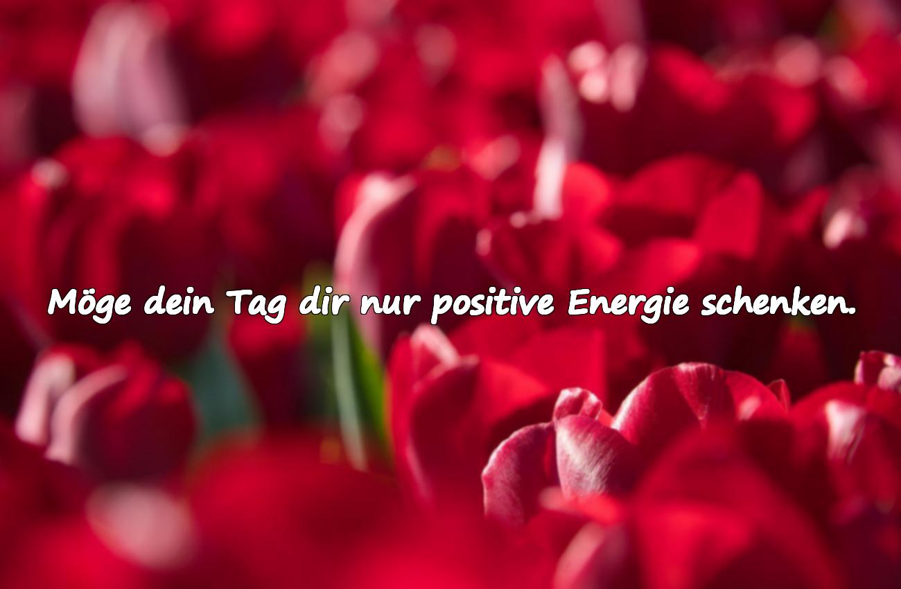 Schönen Tag wünsche ich dir