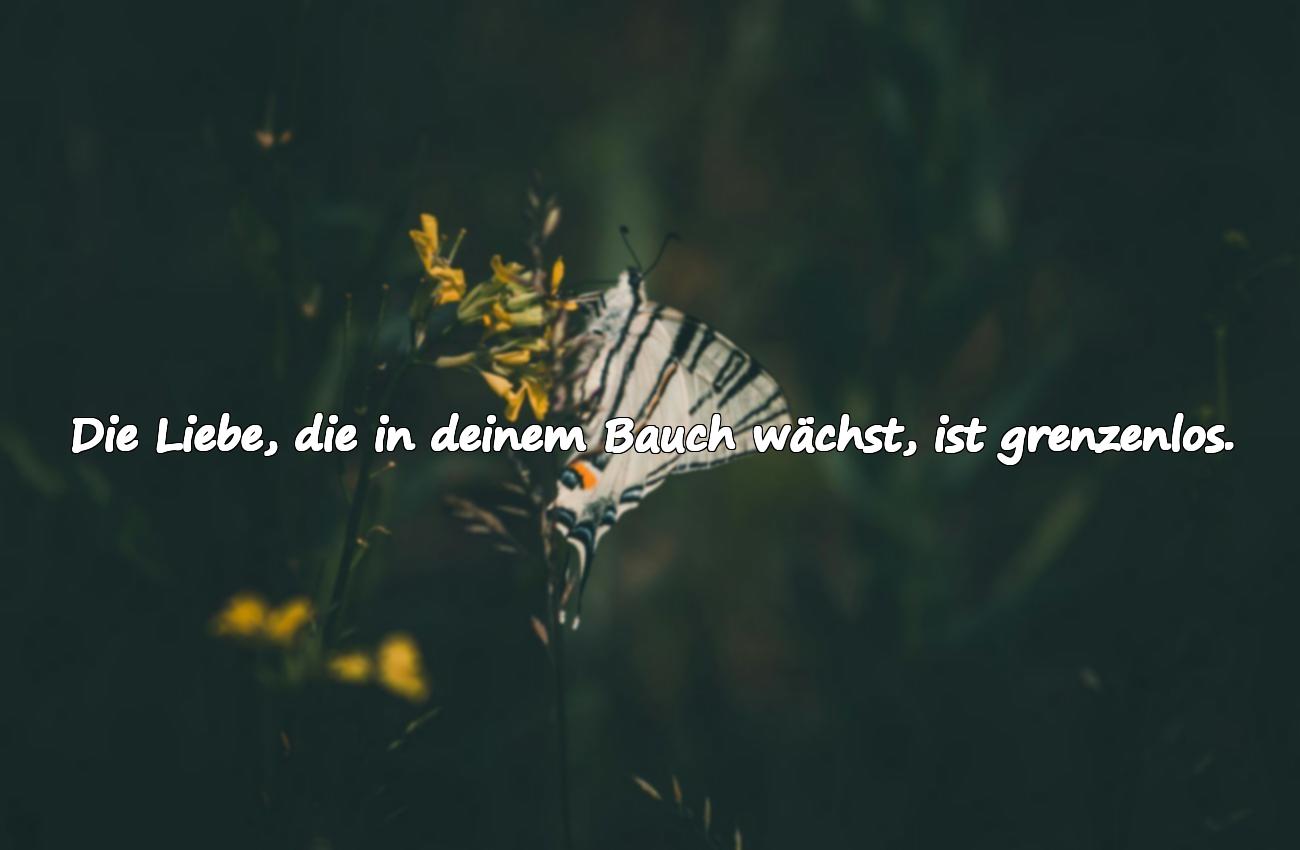 schwangerschaft sprüche