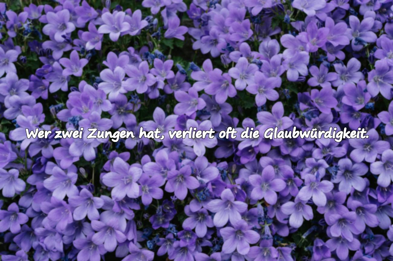 Schwere, anspielungsreiche Sprüche für Doppelzüngige
