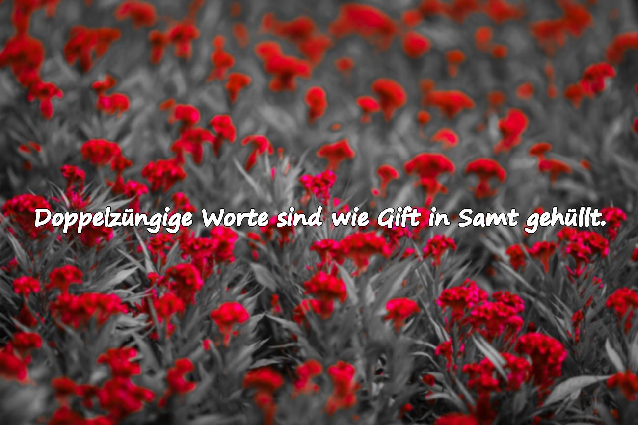 Schwere, anspielungsreiche Sprüche für Doppelzüngige