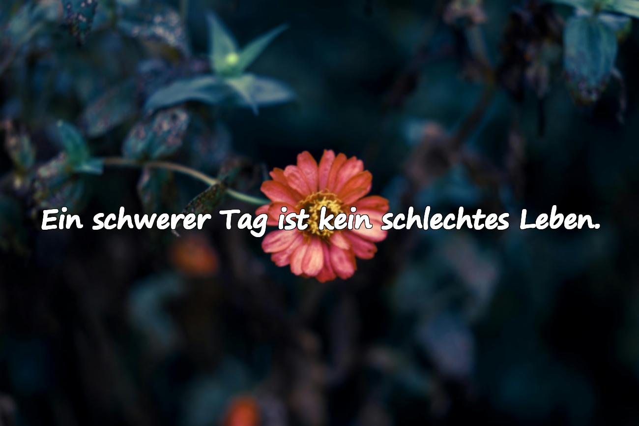 schwere zeiten sprüche