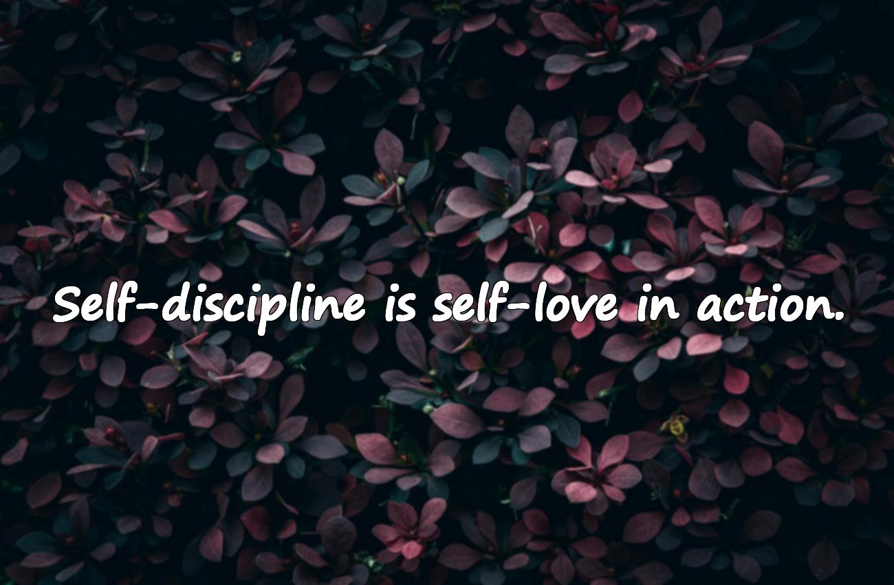 self discipline quotes
