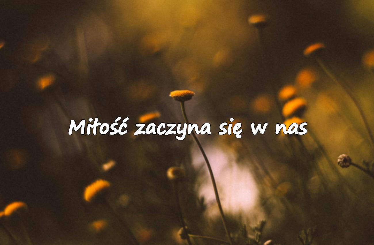 sentencje o miłości krótkie