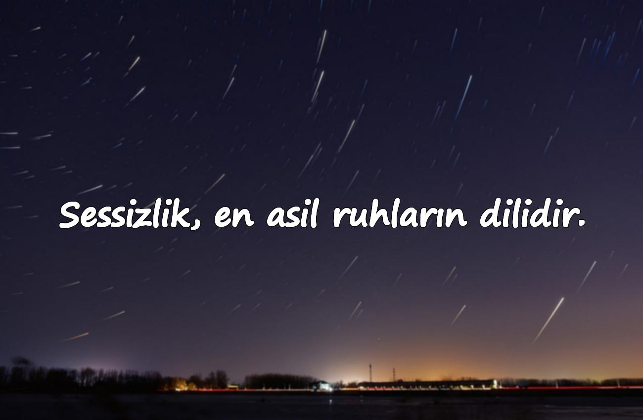 sessizlik ile ilgili sözler