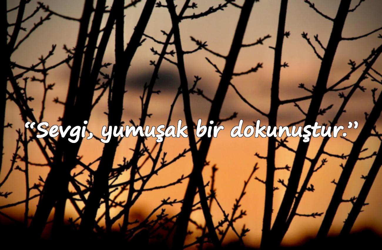 sevgi ile ilgili sözler