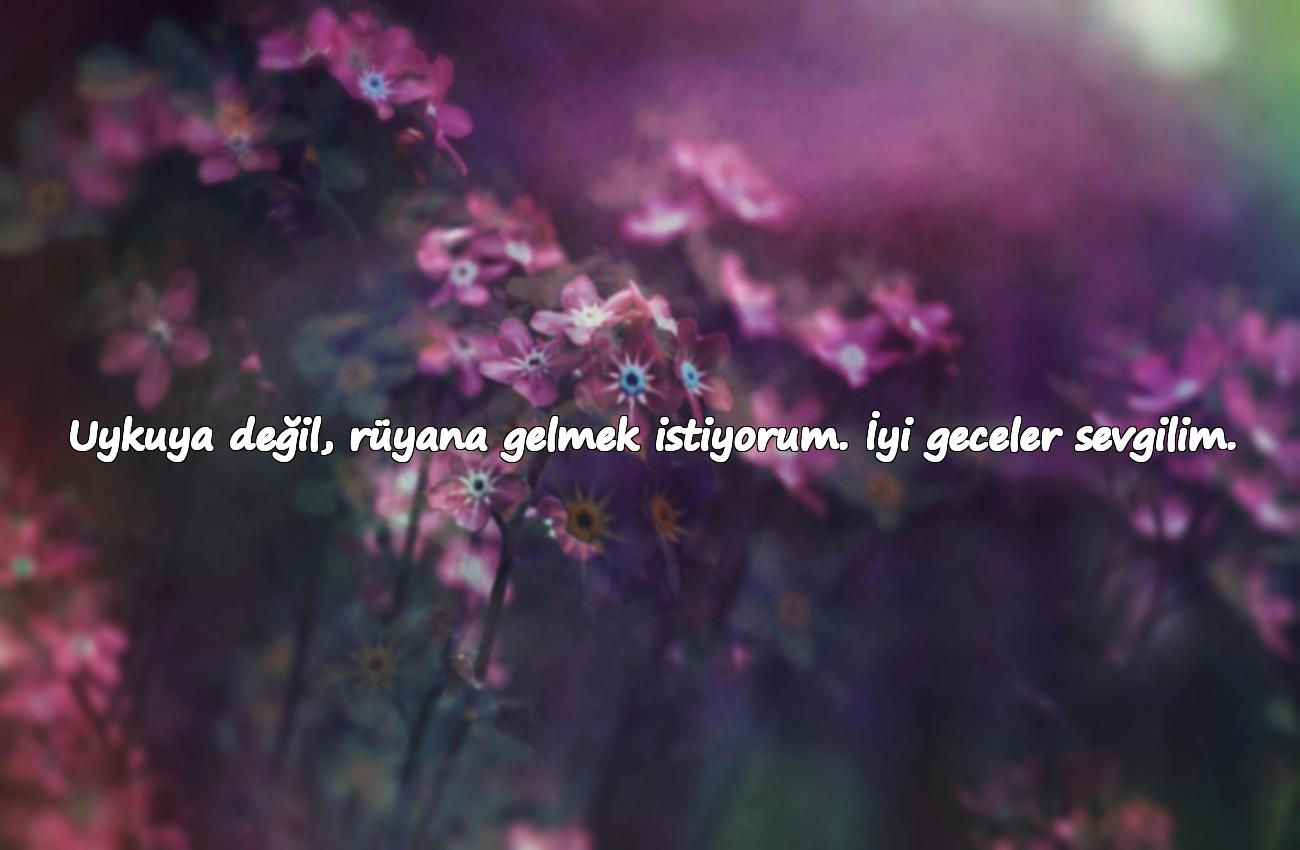 Sevgiliye İyi Geceler Mesajları Sözleri