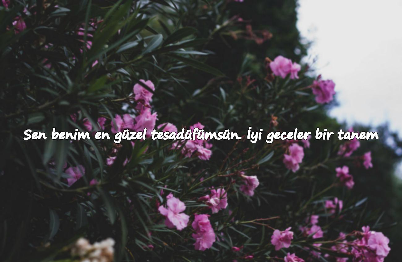 Sevgiliye İyi Geceler Mesajları Sözleri