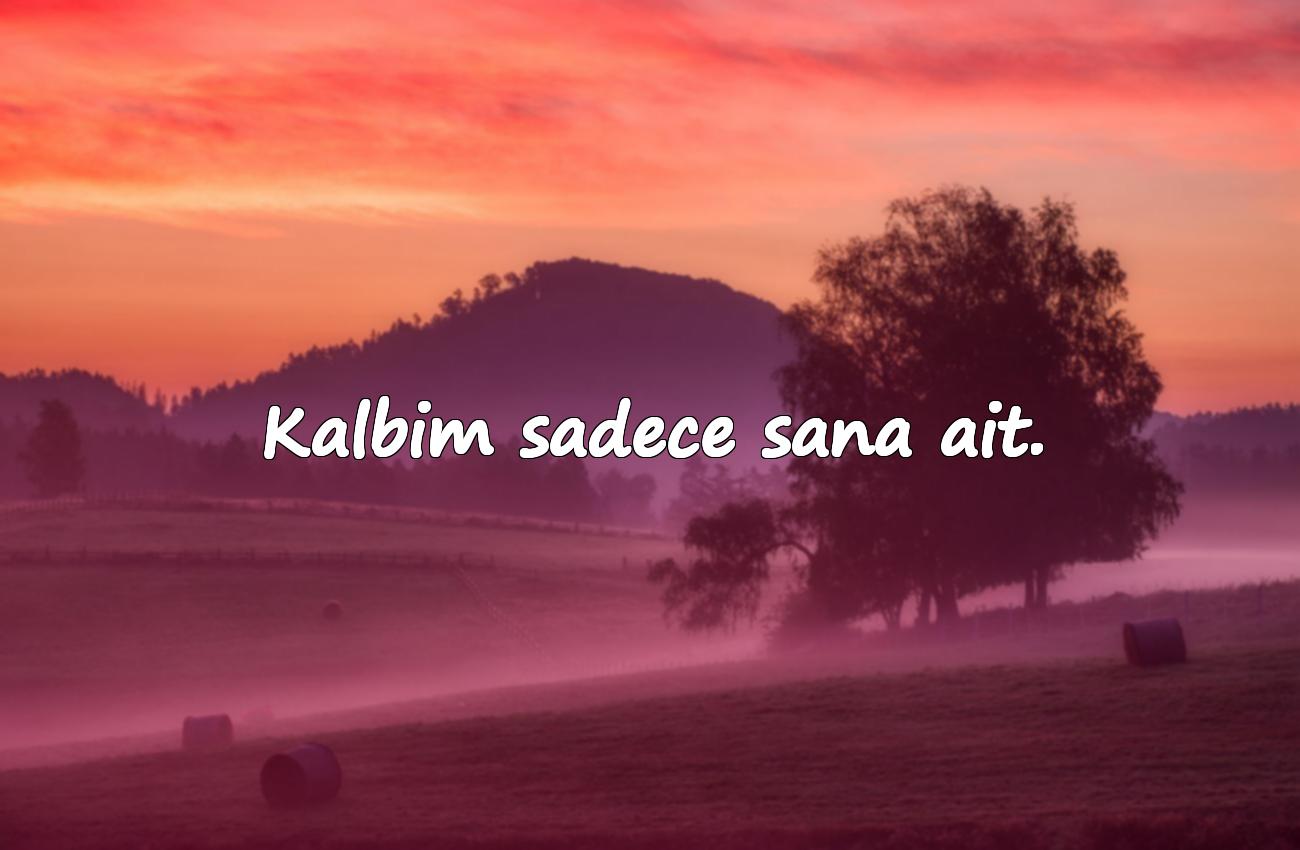 Sevgiliye Kısa Güzel Sözler