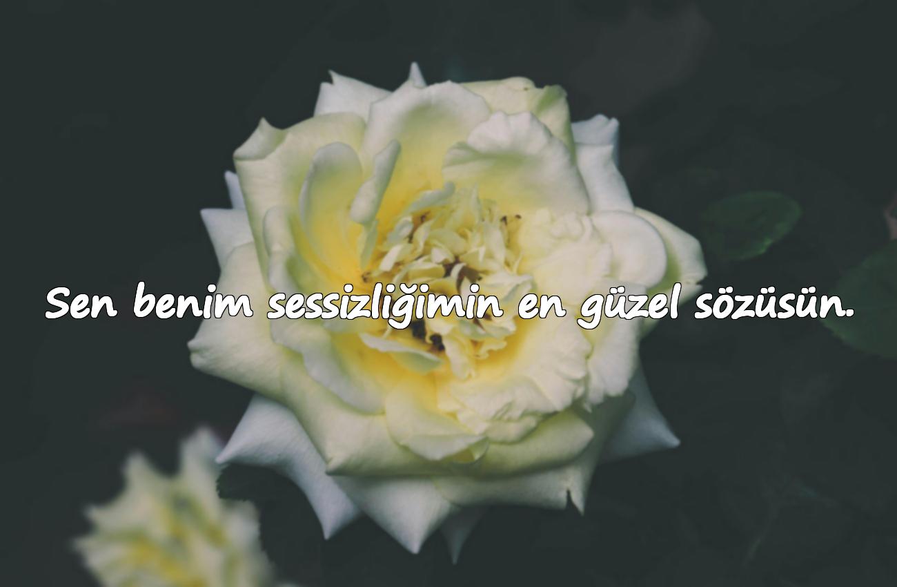 Sevgiliye Kısa Güzel Sözler