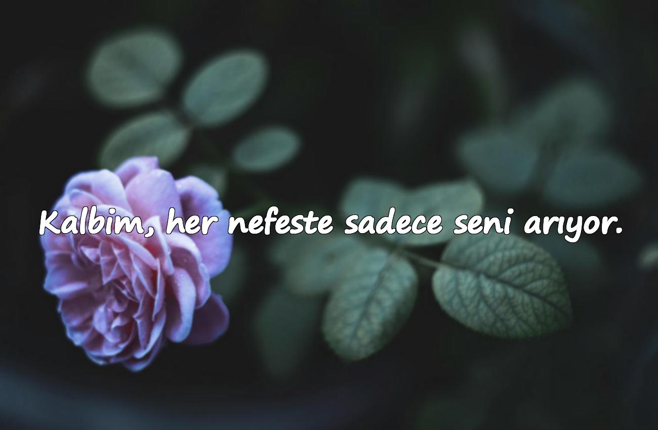 sevgiliye özlem sözleri