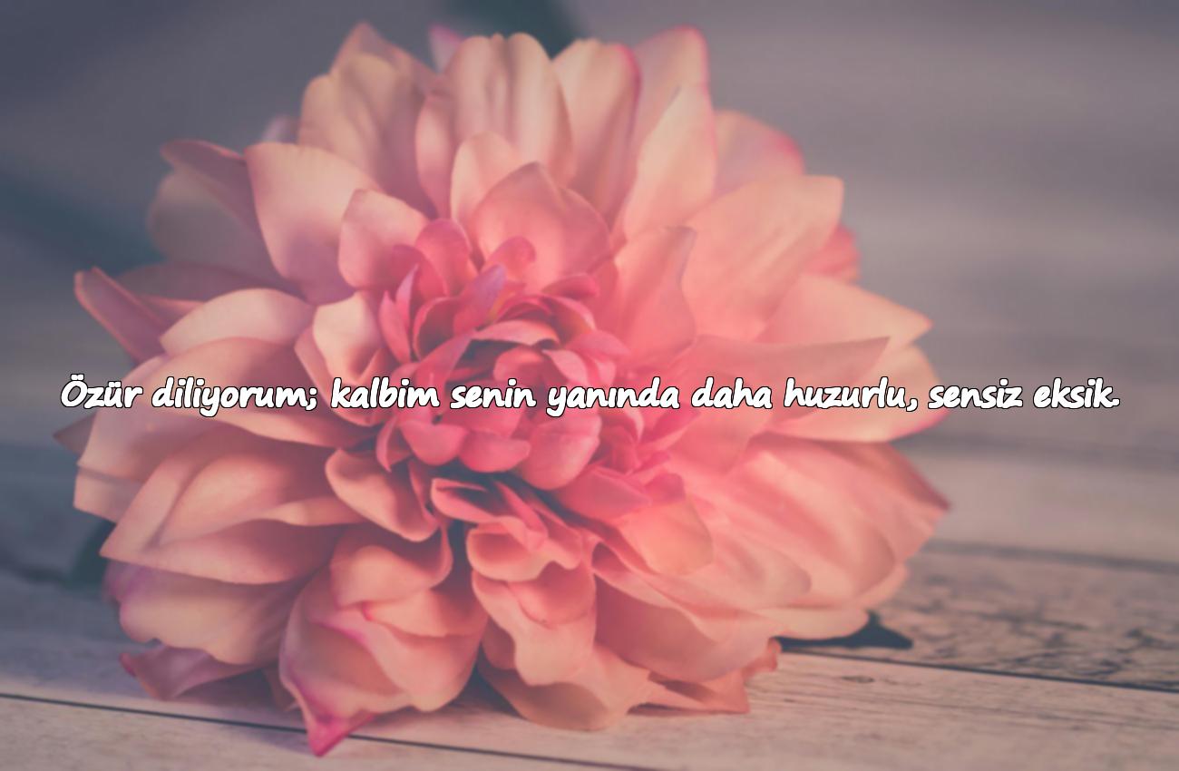 sevgiliye özür mesajı