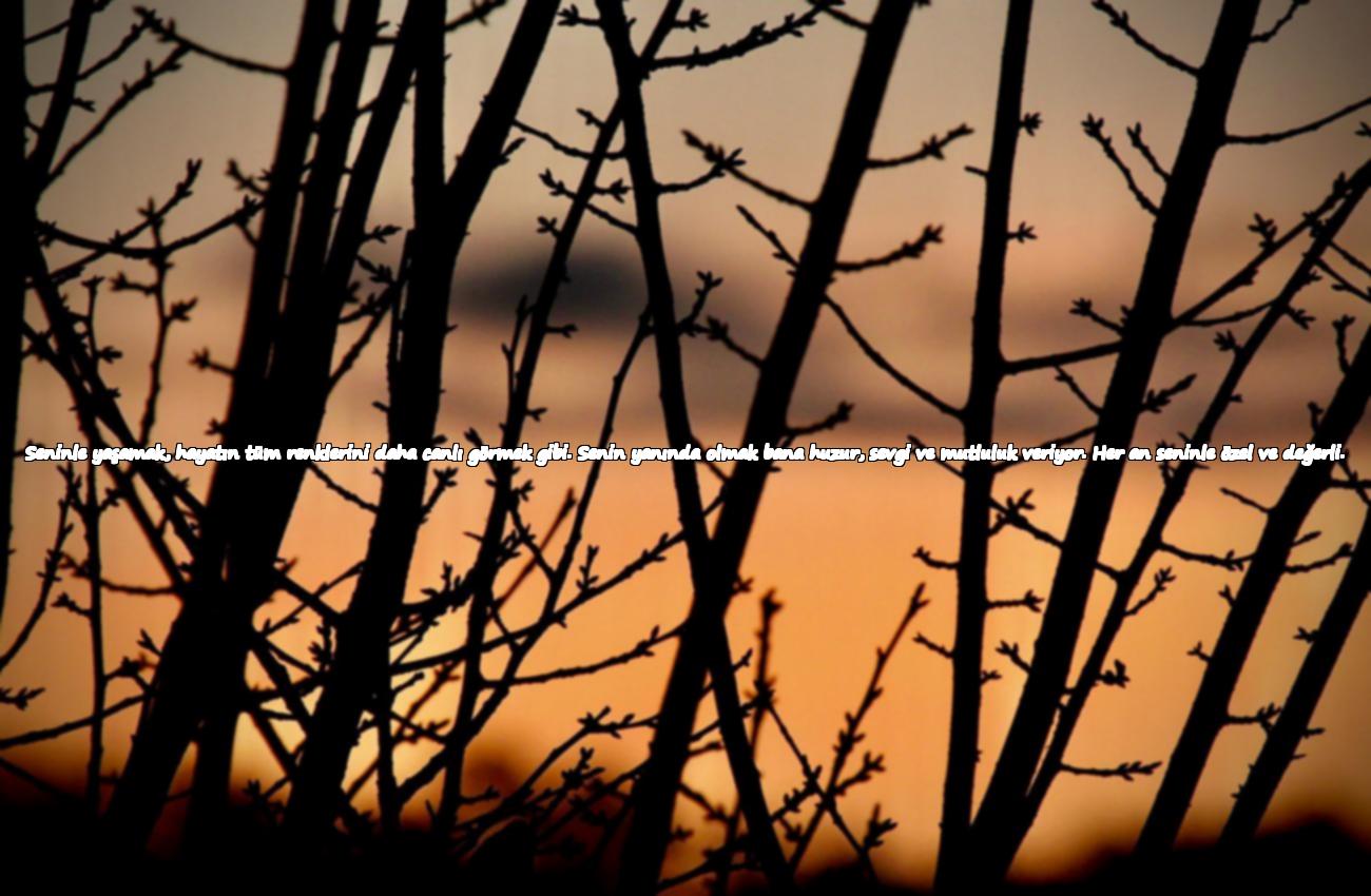 sevgiliye uzun mesajlar