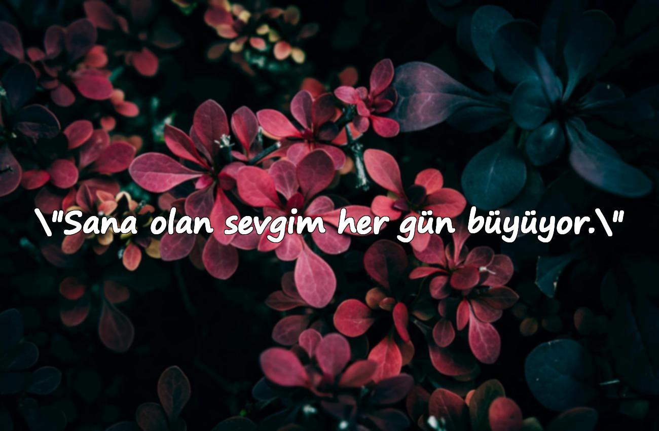 sevgiliye yazılacak güzel sözler