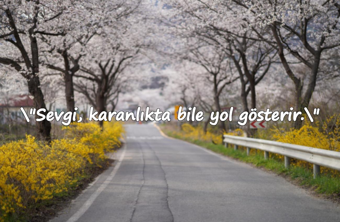 sevgiyle ilgili sözler