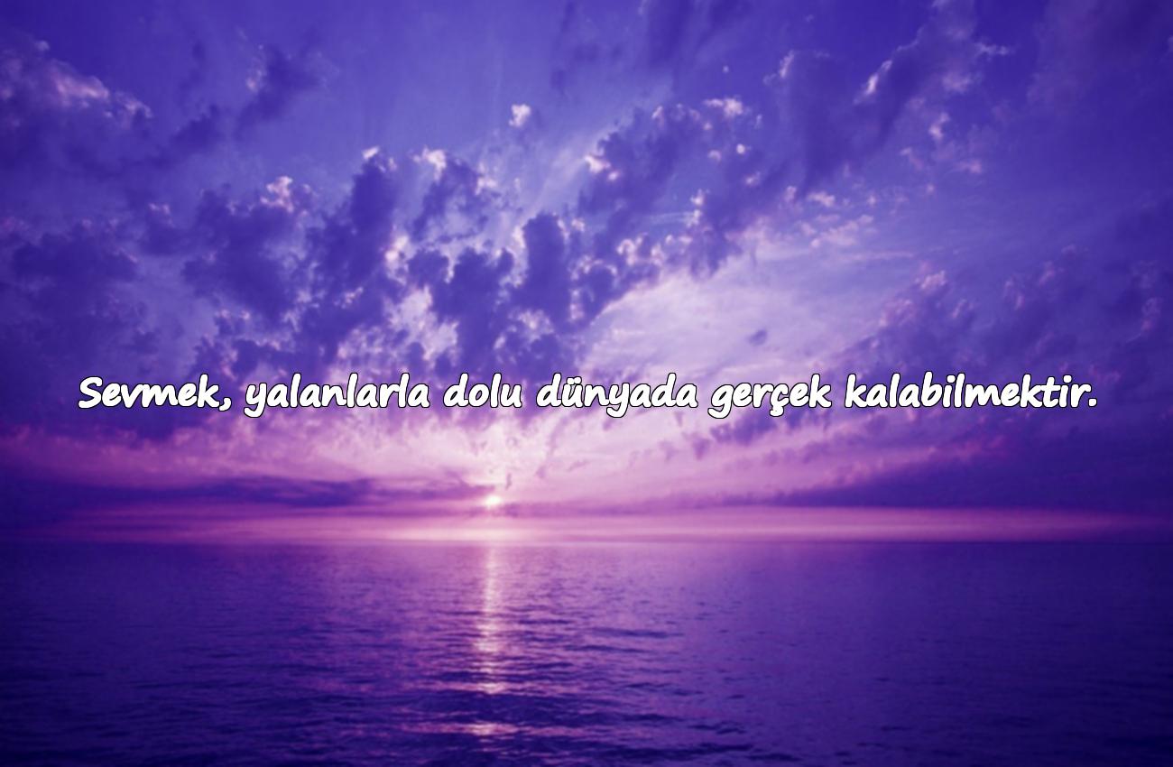 Sevmek İle İlgili Sözler