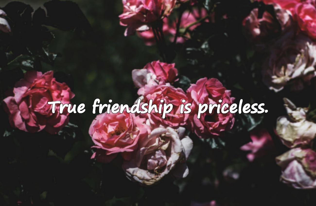 short friendship quotes