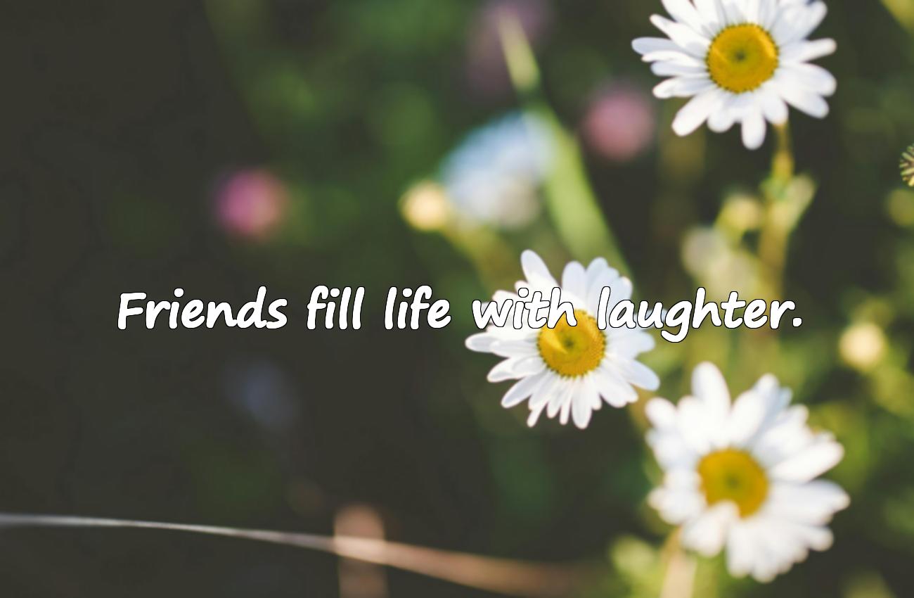 short friendship quotes