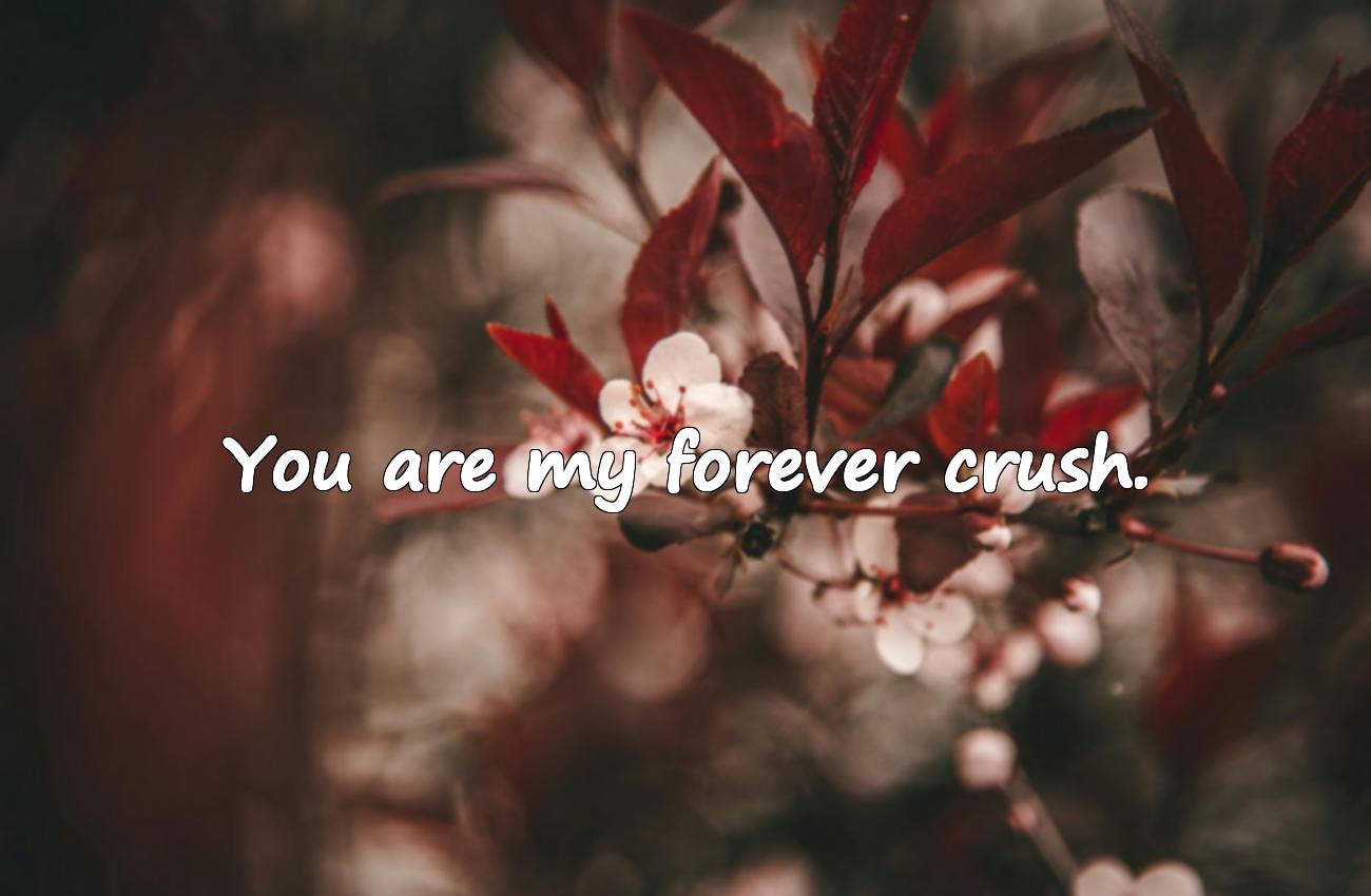 short romantic quotes